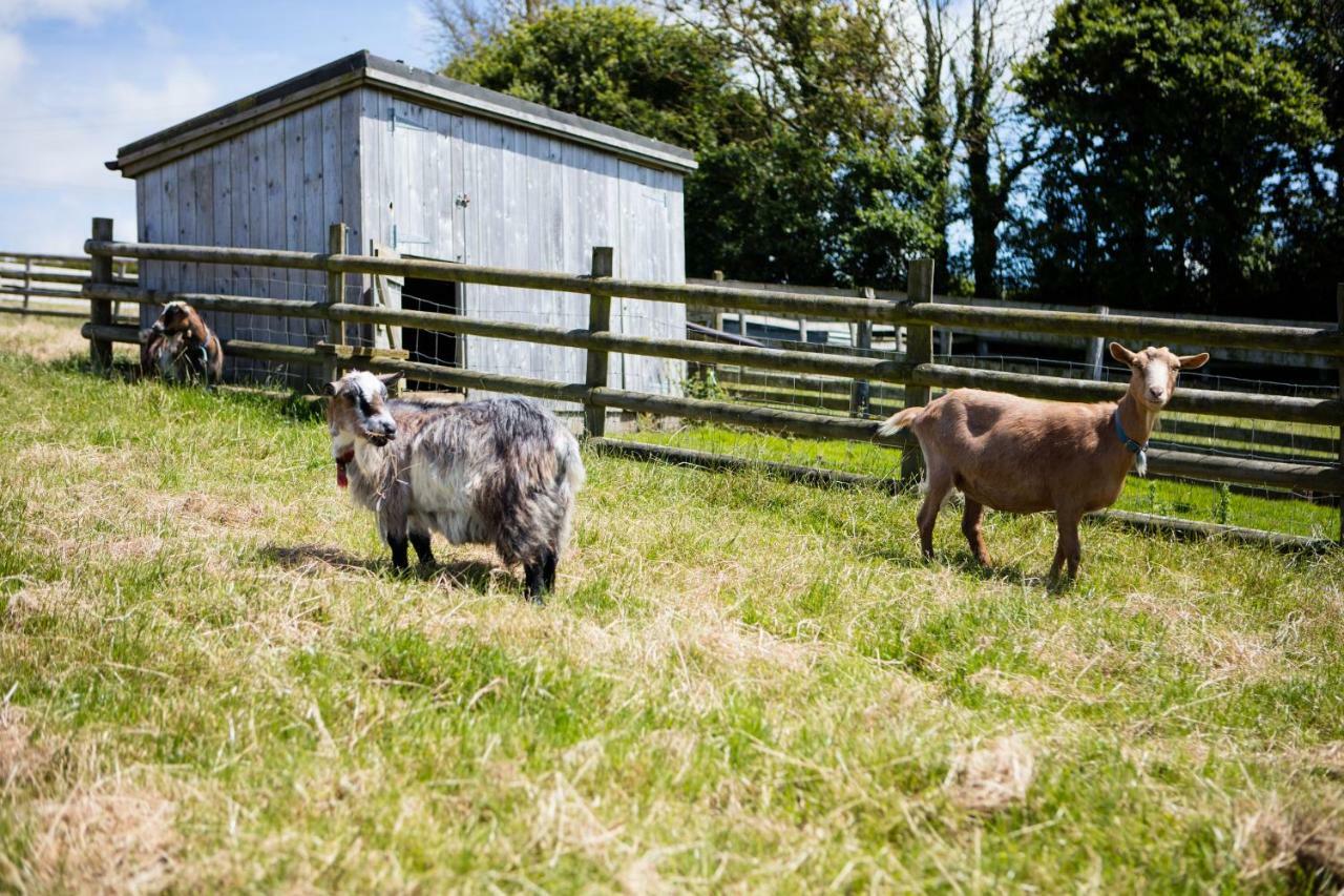 Sharlands Farm Holiday Cottages Bude Dış mekan fotoğraf